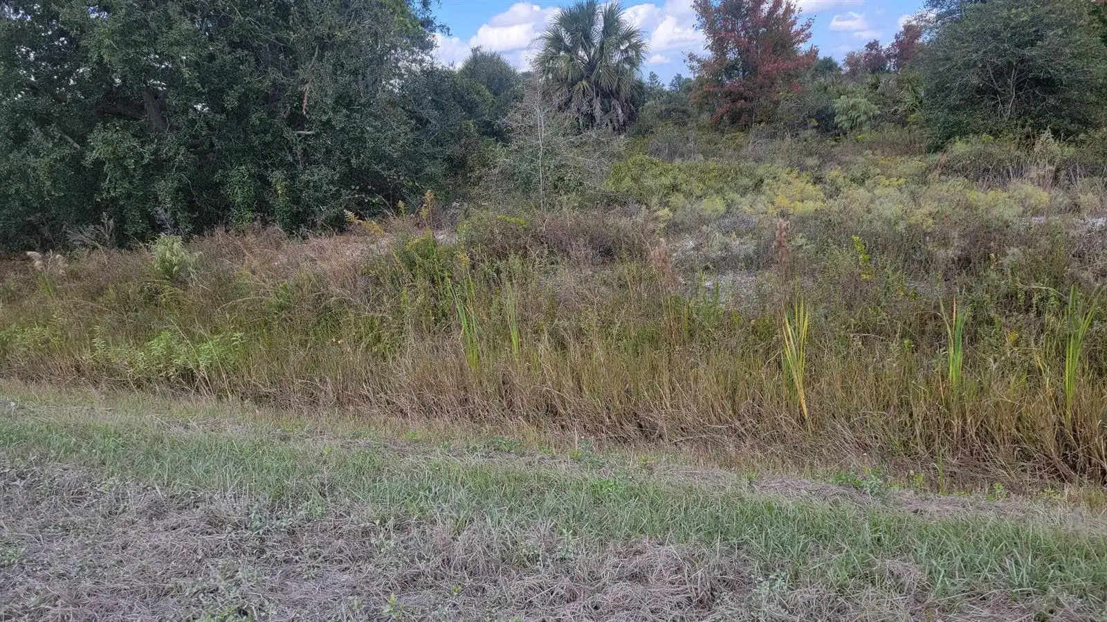 21321 NW 272nd Street, Okeechobee FL 34972 photo 4
