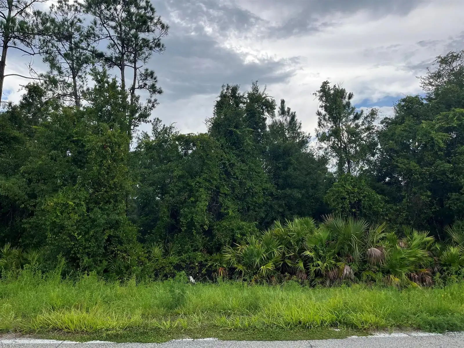 6883 St Johns Avenue, Palatka FL 32177