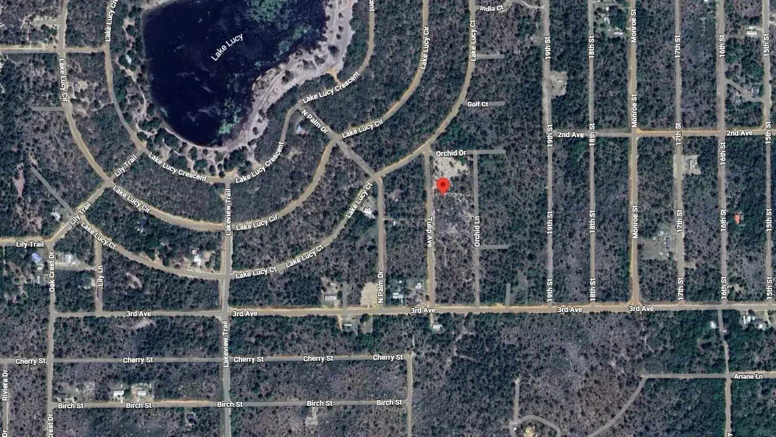116 Tulip Avenue, FL 32148 photo 3