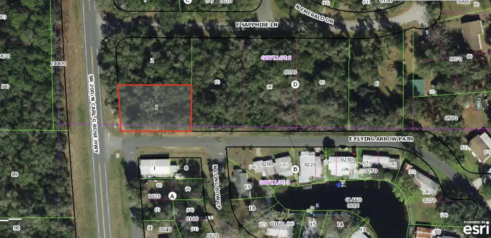 4955 N Carl G Rose Highway, FL 34442 photo 2