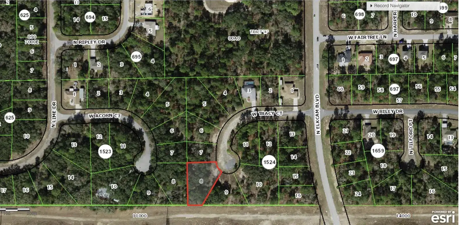 2770 W Tracy Court, FL 34433 photo 2
