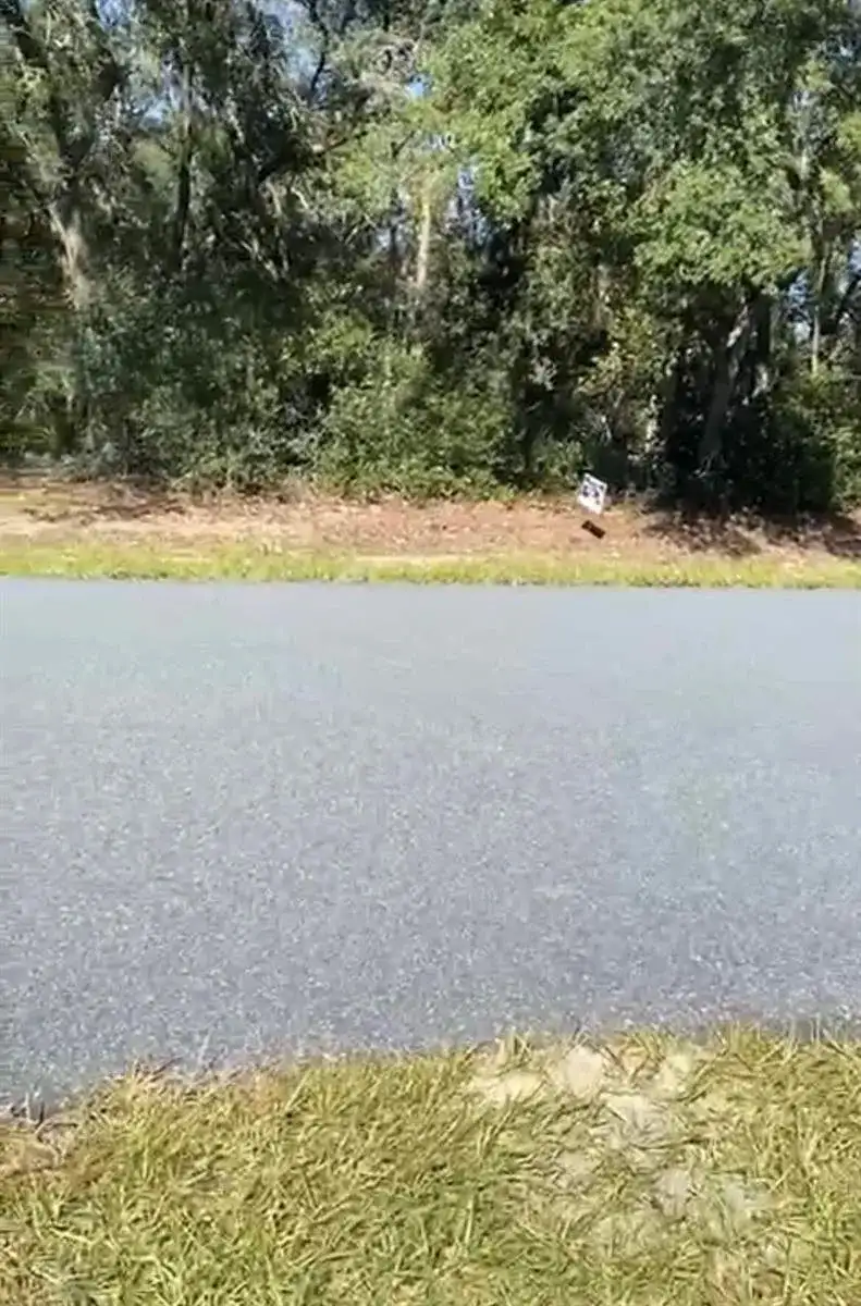4017 SW 133rd Loop, Ocala FL 34473 photo 2