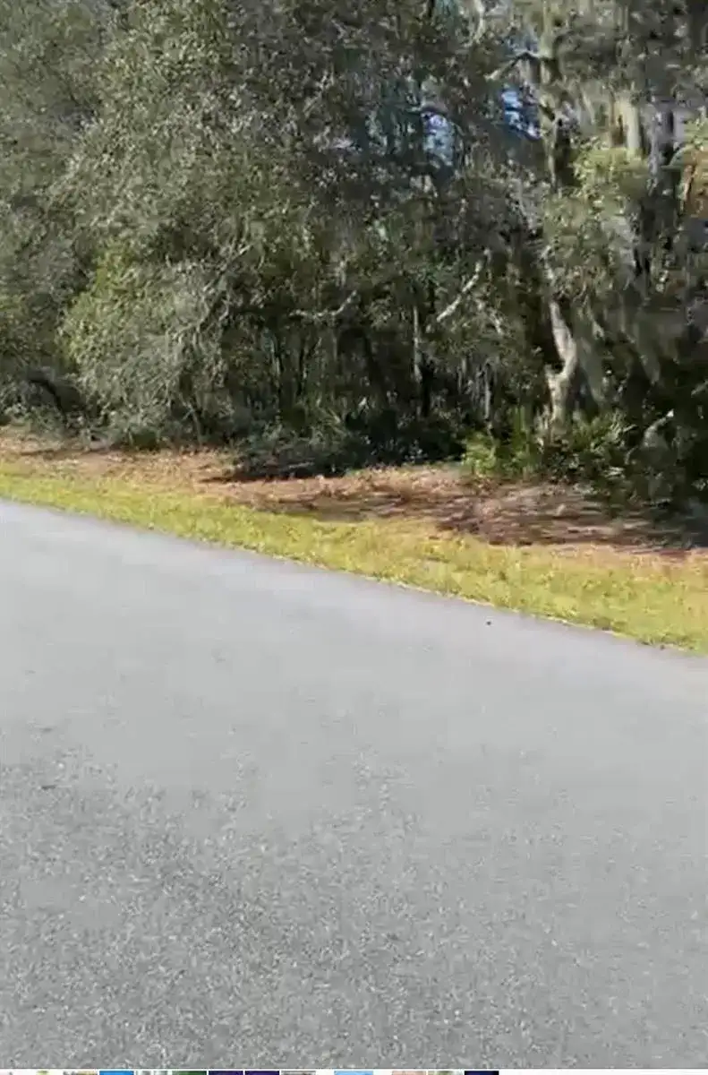 4017 SW 133rd Loop, Ocala FL 34473 photo 3