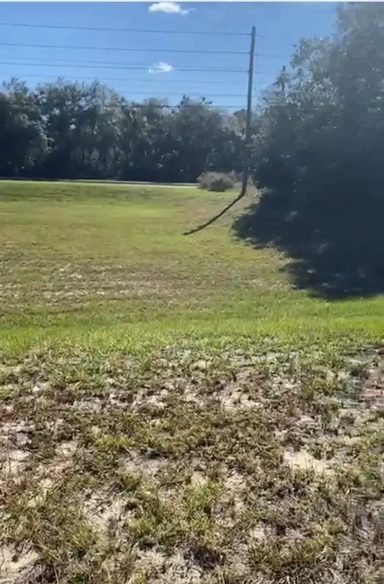 4017 SW 133rd Loop, Ocala FL 34473 photo 4
