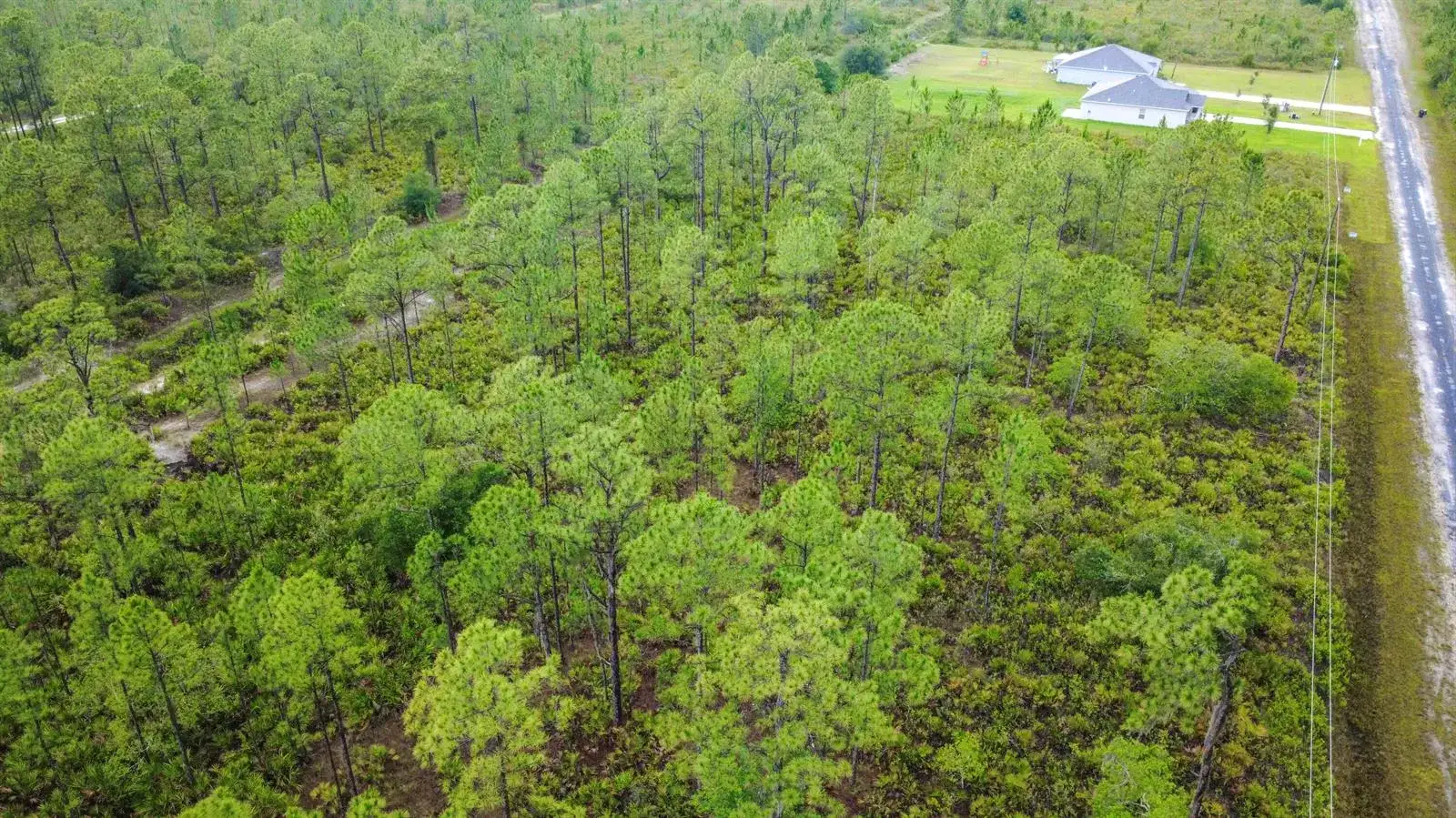 0 Calliandra Drive, FL 33855 photo 3
