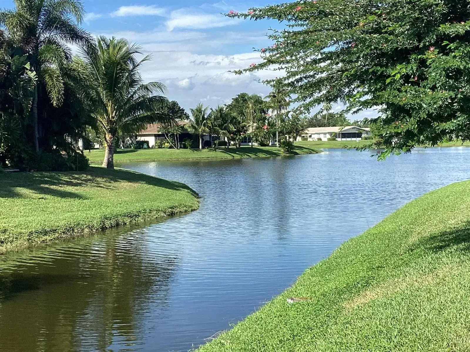 13861 Packard Terrace, Delray Beach FL 33484 photo 3