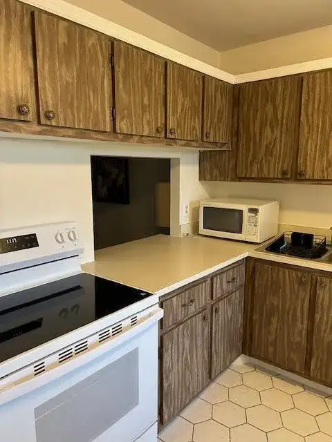 221 Lake Meryl Drive, West Palm Beach FL 33411 photo 4