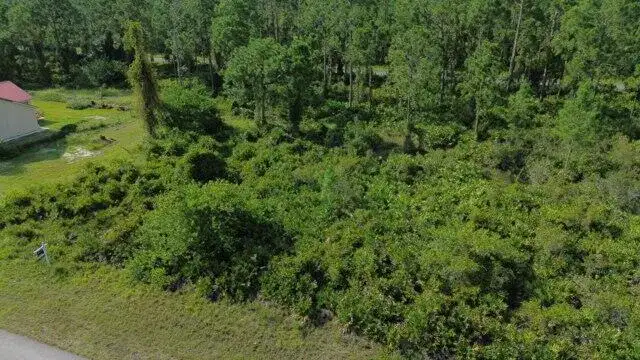 1115 Chiefland Street E, Lehigh Acres FL 33974 photo 4