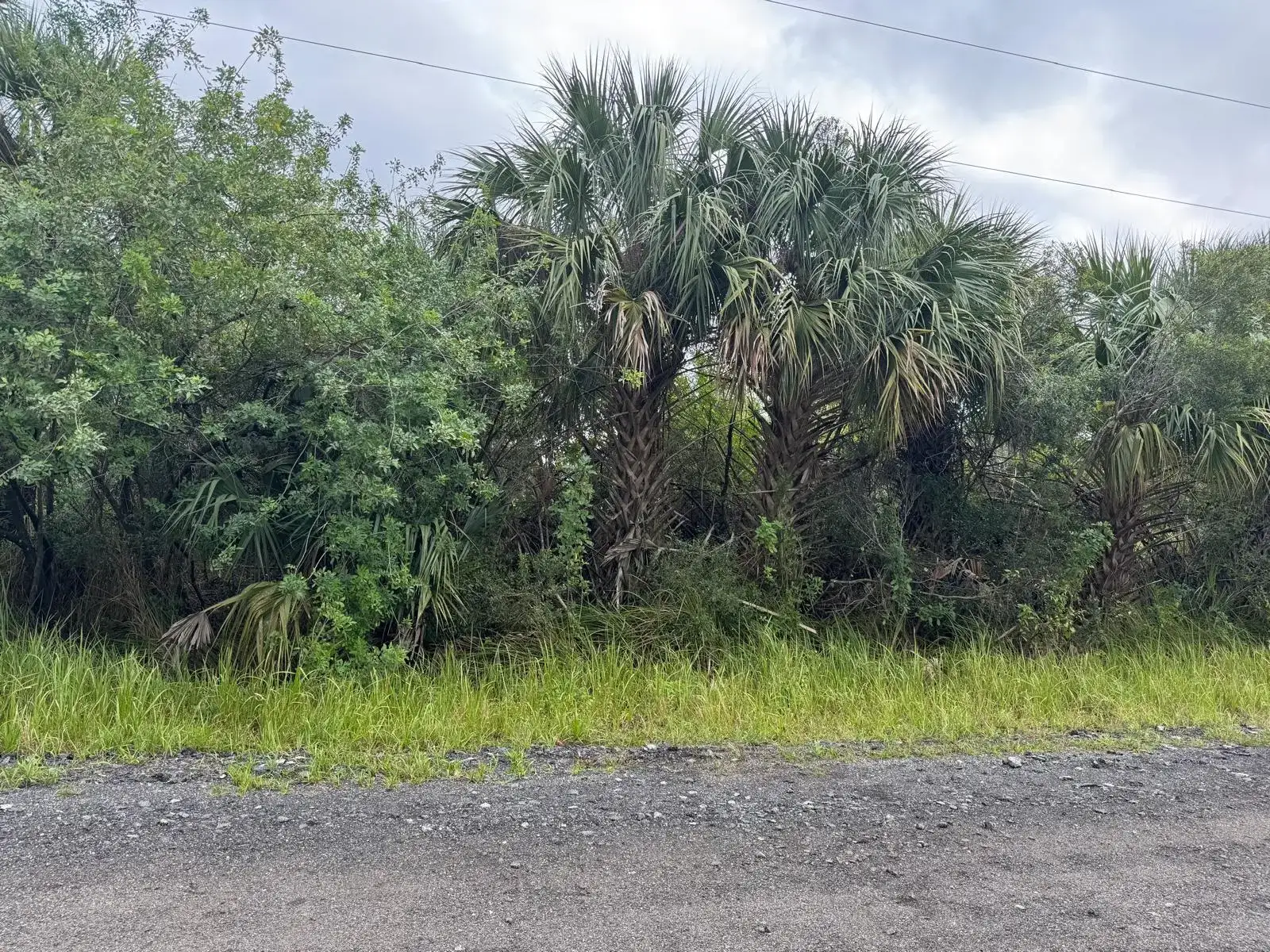 3395 Fitzpatrick Avenue SW, Palm Bay FL 32908 photo 4