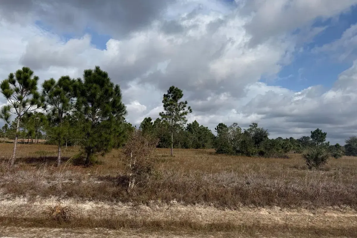 16375 NW 314th Street, Okeechobee FL 34972