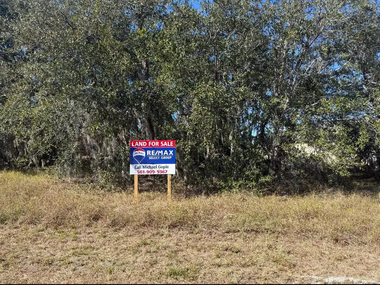 180 Big Black Drive, FL 34759 photo 5