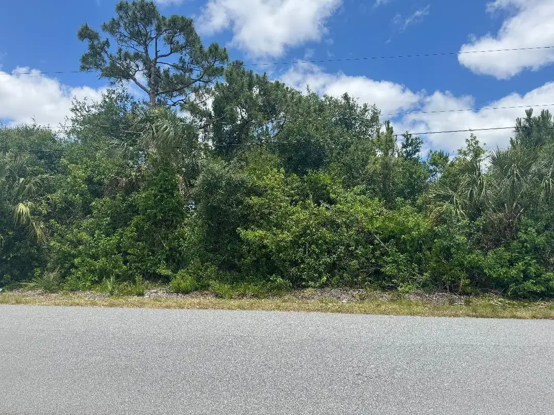 1437 Tidewell Street SE, Palm Bay FL 32909