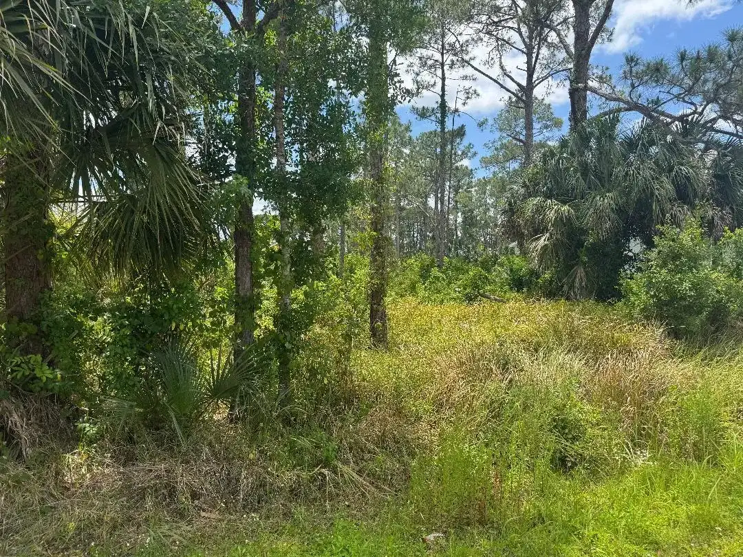 1458 Transcoro Street SE, Palm Bay FL 32909