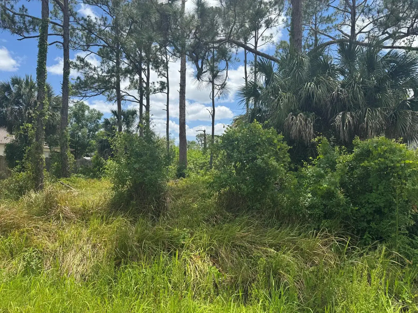 1458 Transcoro Street SE, Palm Bay FL 32909 photo 3