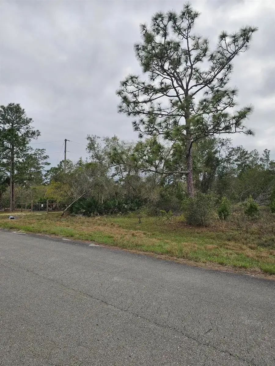 35485 NE 7th Drive, Okeechobee FL 34972 photo 2