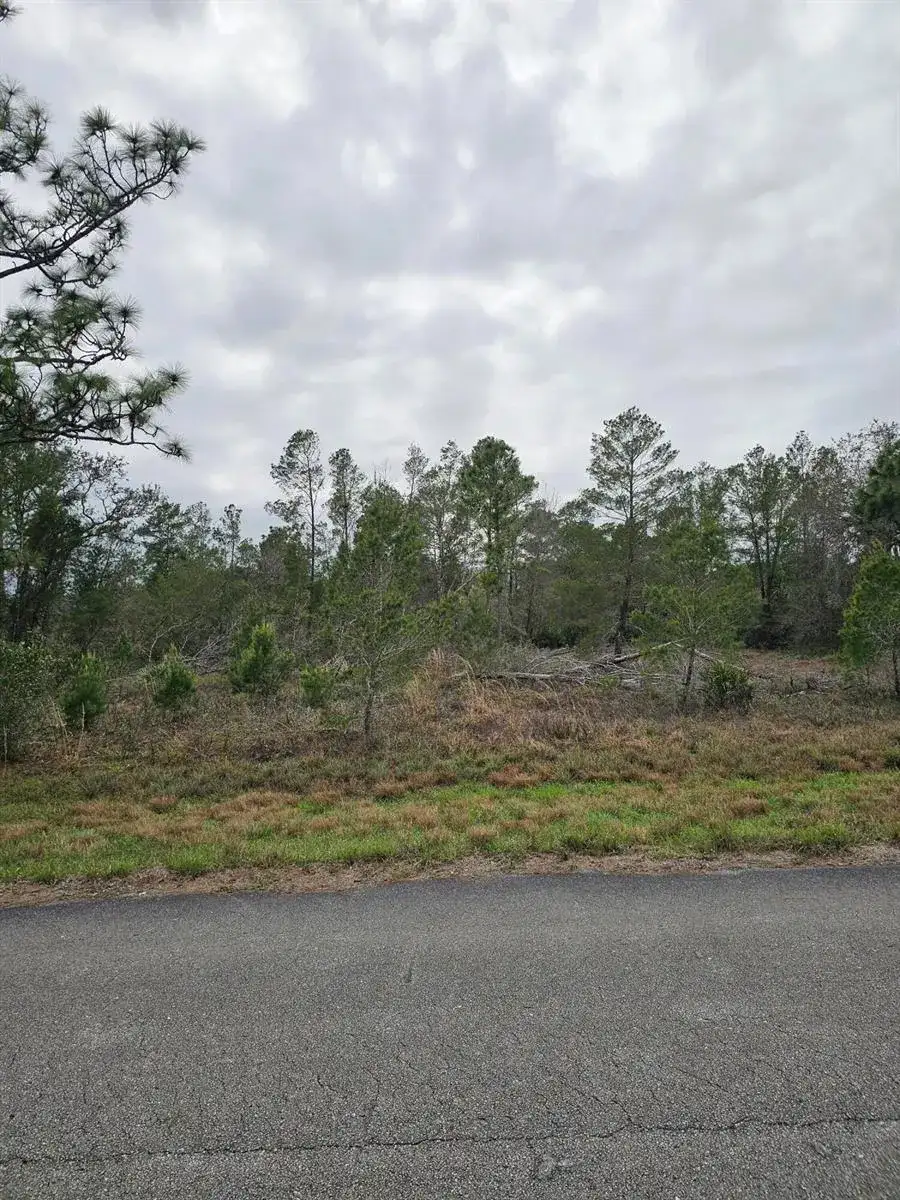 35485 NE 7th Drive, Okeechobee FL 34972 photo 3
