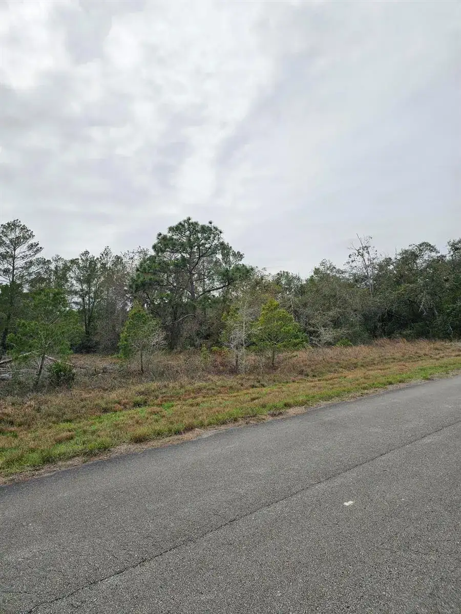 35485 NE 7th Drive, Okeechobee FL 34972 photo 4