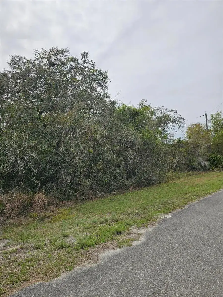 35485 NE 7th Drive, Okeechobee FL 34972 photo 5
