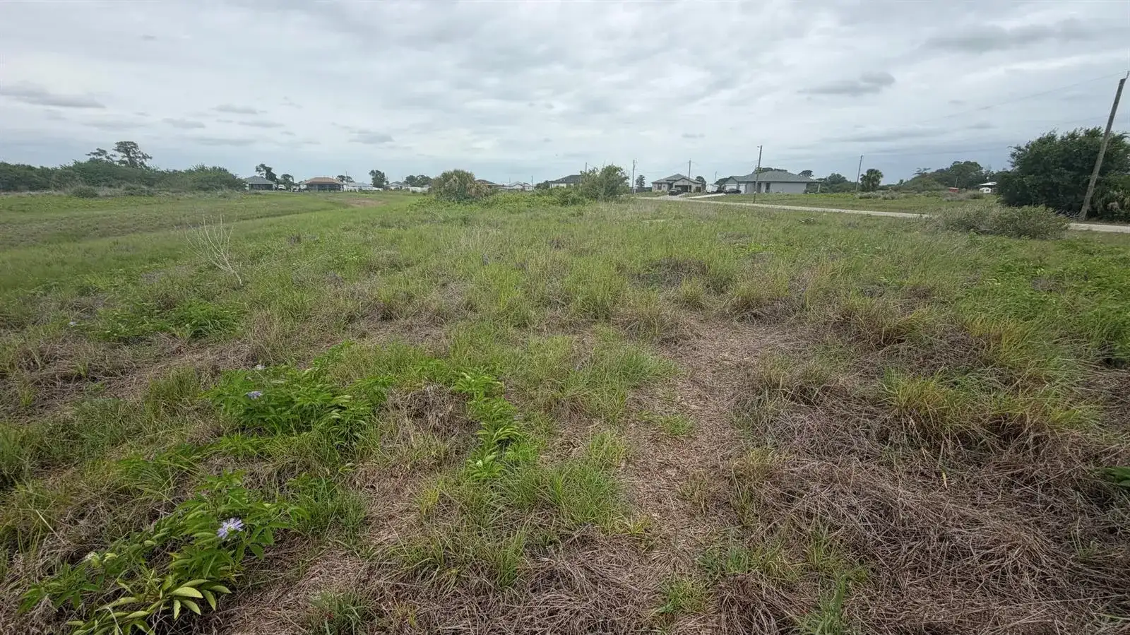 7002 Lorna Court Court, FL 33935 photo 2