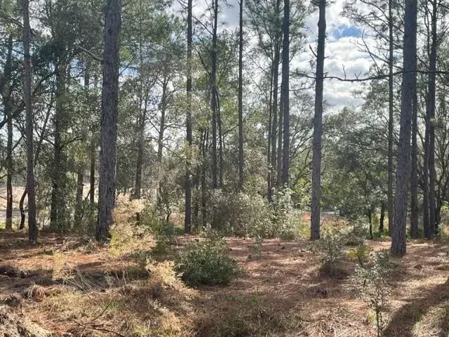 000 Malauka Cir Circle, FL 32179
