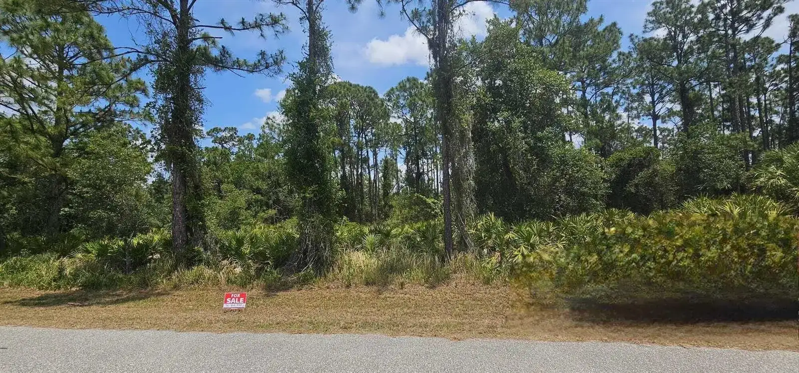 20216 Elrose Avenue, Port Charlotte FL 33954 photo 3