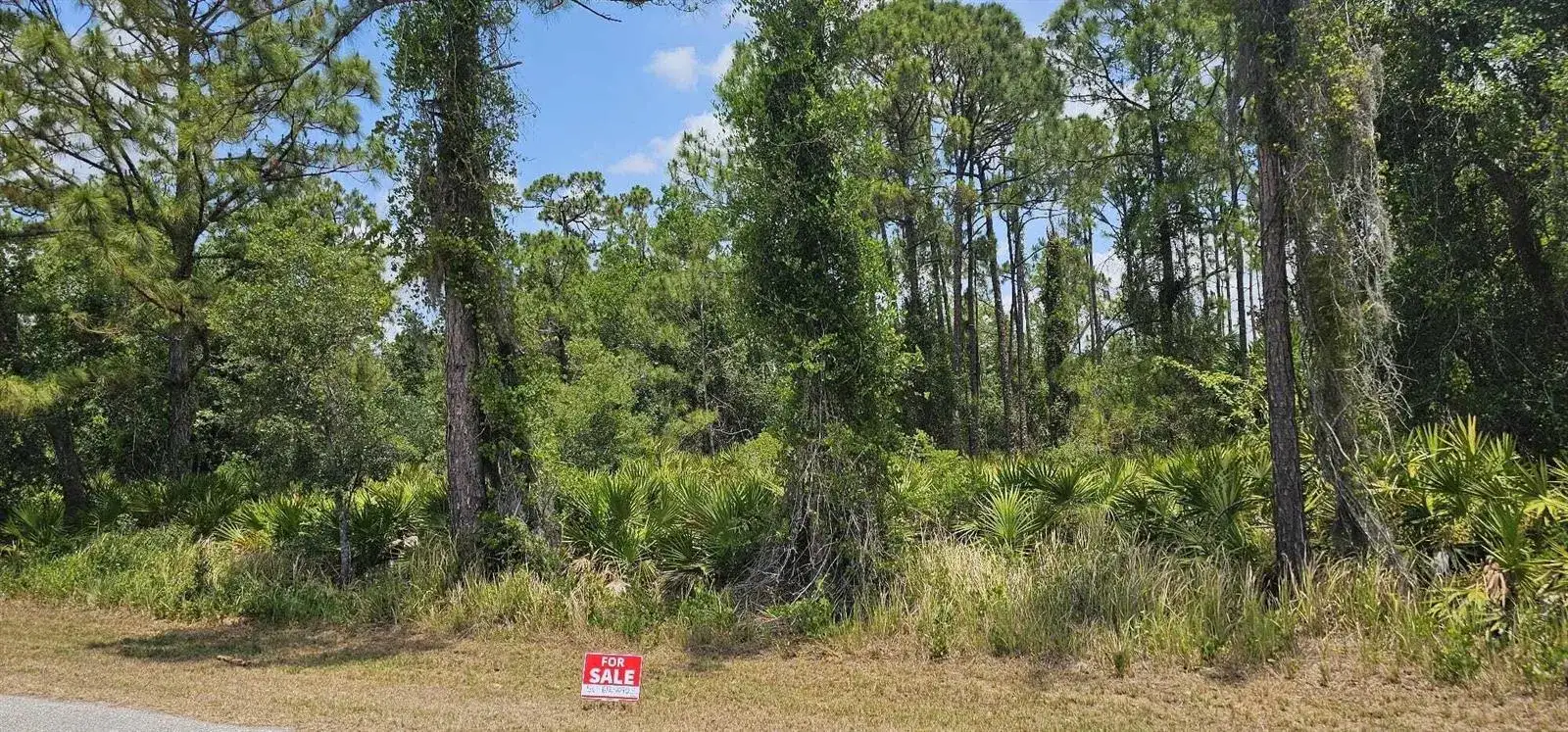 20216 Elrose Avenue, Port Charlotte FL 33954 photo 4