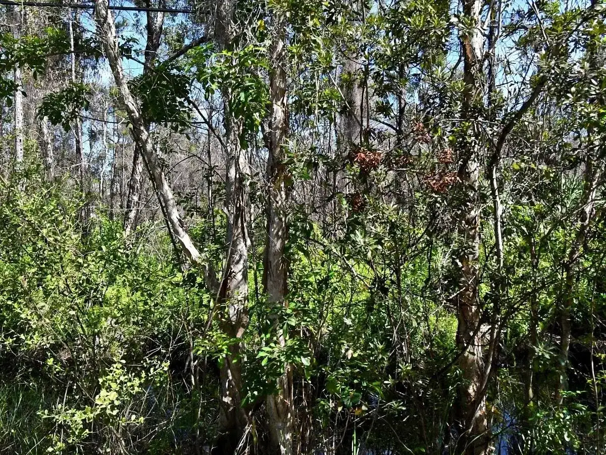 -- Dyer Road, Fort Pierce FL 34952 photo 3