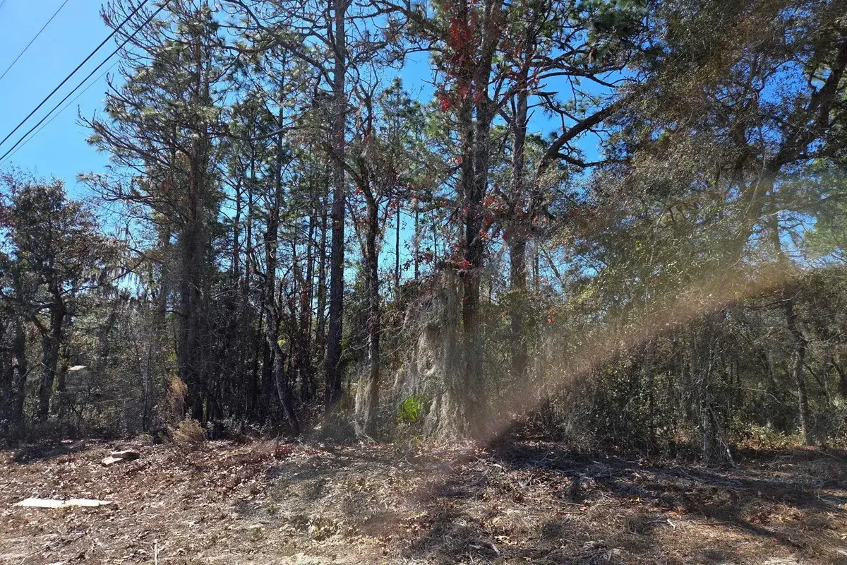 8 Marion Oaks Lane, FL 34473