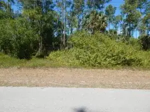 1047 Asther Street E, Lehigh Acres FL 33974