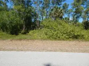 1047 Asther Street E, Lehigh Acres FL 33974