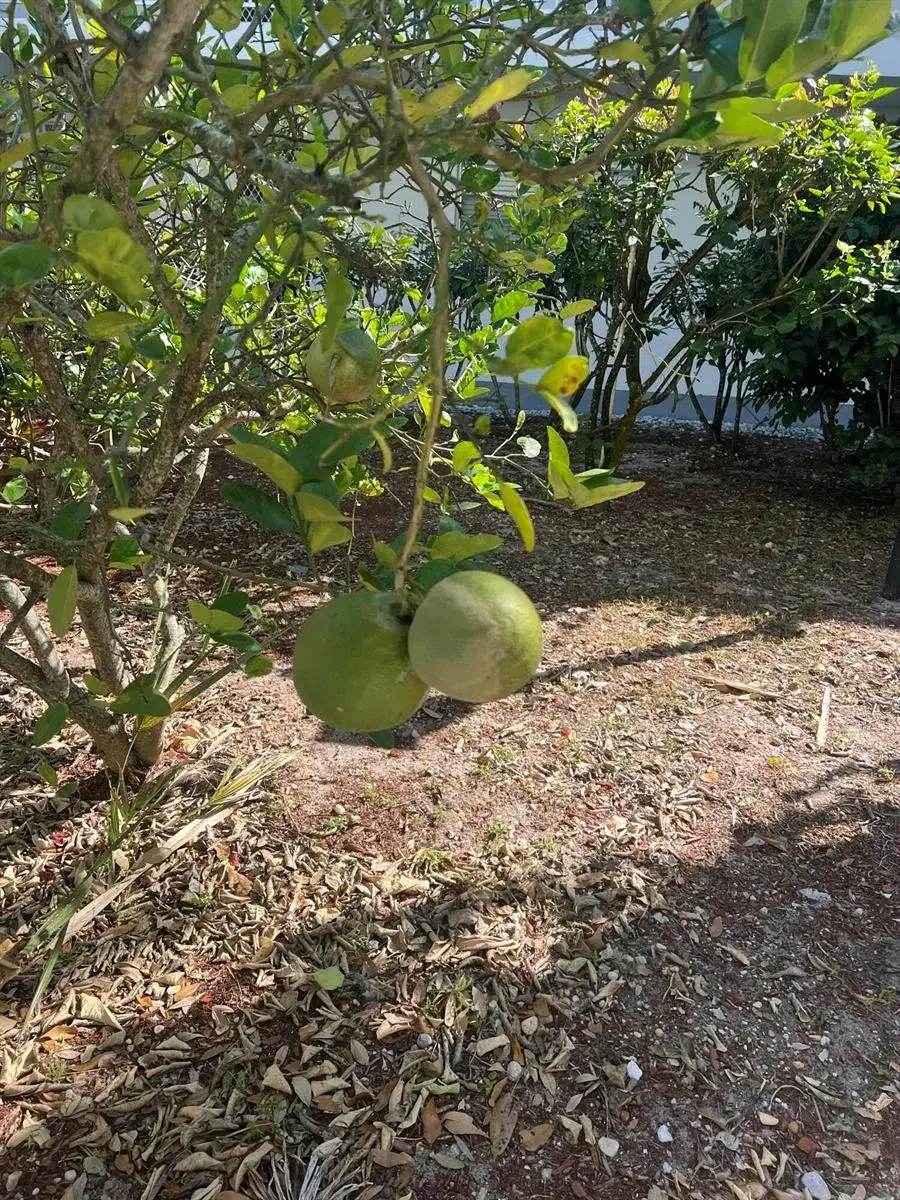 2302 Sunrise # 201, Fort Pierce FL 34949 photo 4