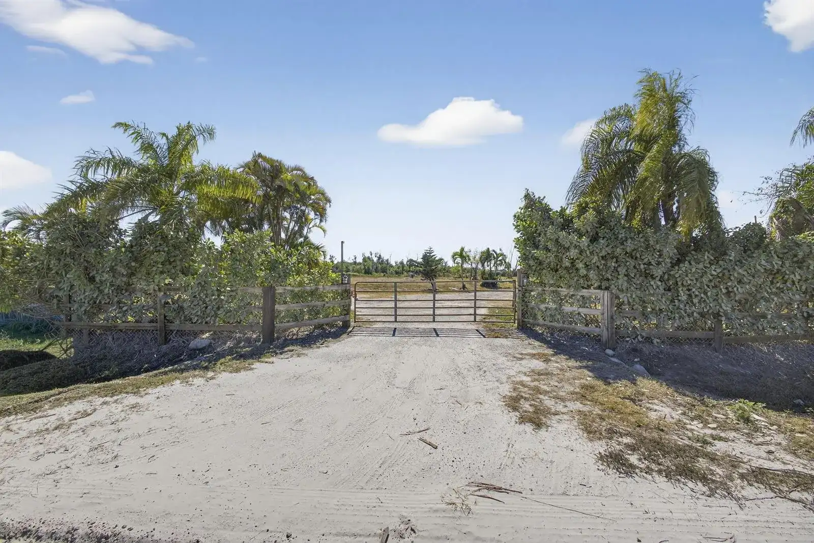 16296 Deer Path Lane, Wellington FL 33470 photo 3
