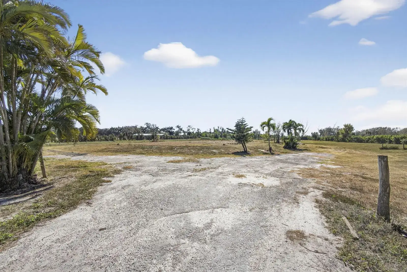 16296 Deer Path Lane, Wellington FL 33470 photo 5