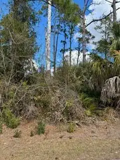 Xxx Eldron Avenue, North Port FL 34286 photo 2