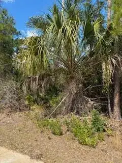 Xxx Eldron Avenue, North Port FL 34286 photo 4