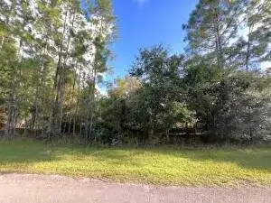 405 Pandora Drive, FL 33855 photo 2