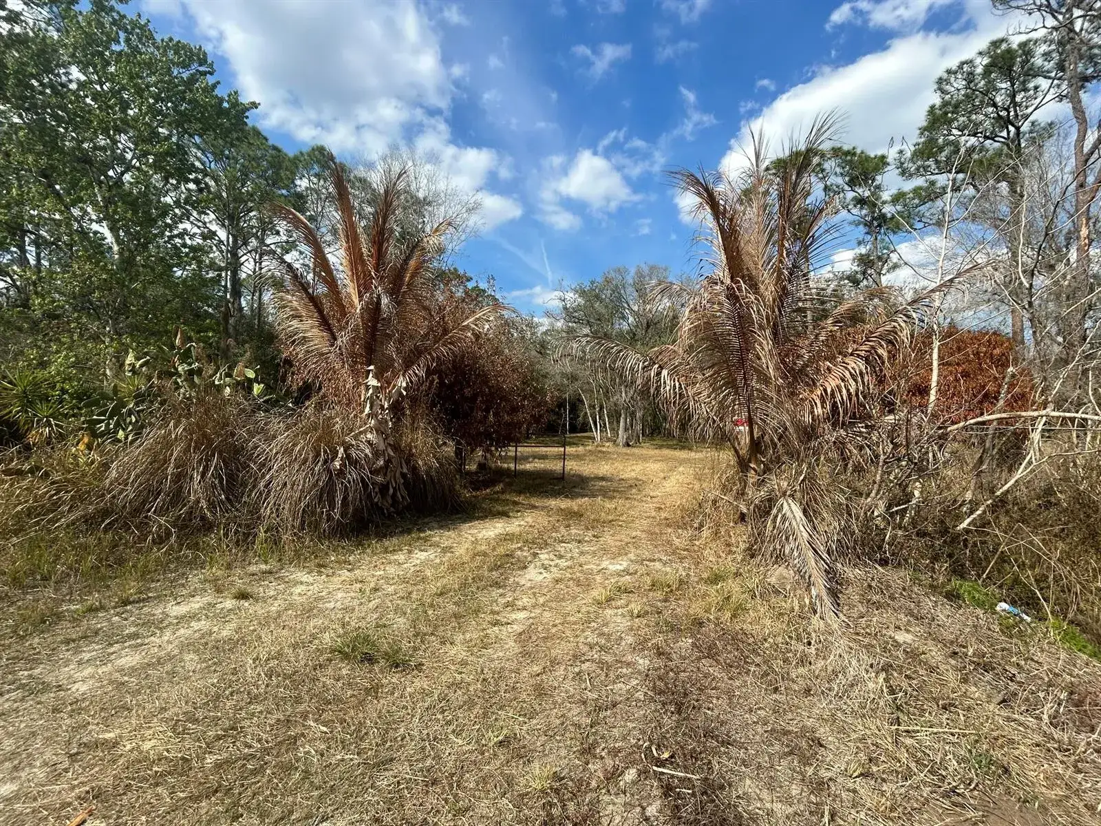 855 NW 368th Drive, Okeechobee FL 34972