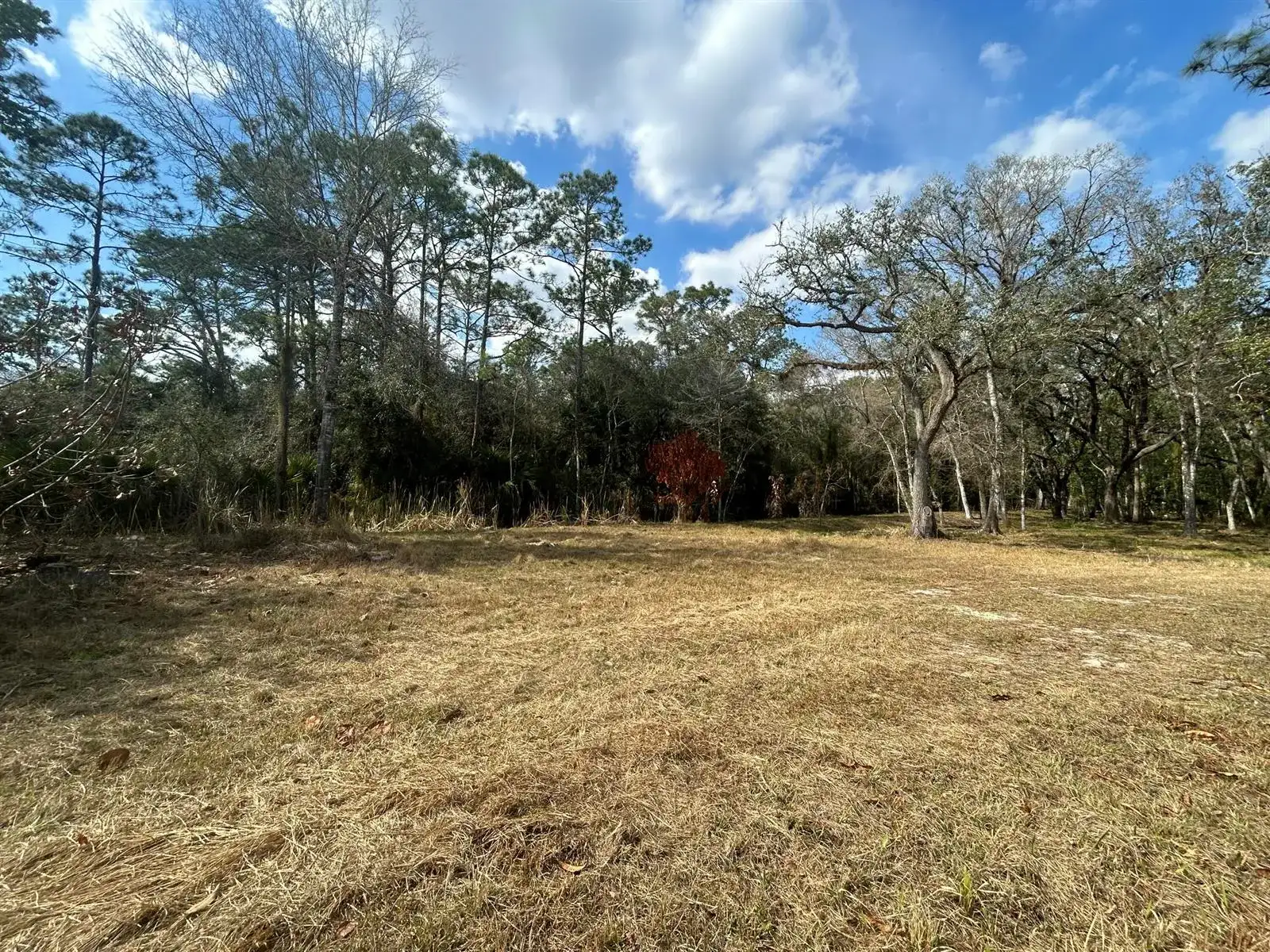 855 NW 368th Drive, Okeechobee FL 34972 photo 2