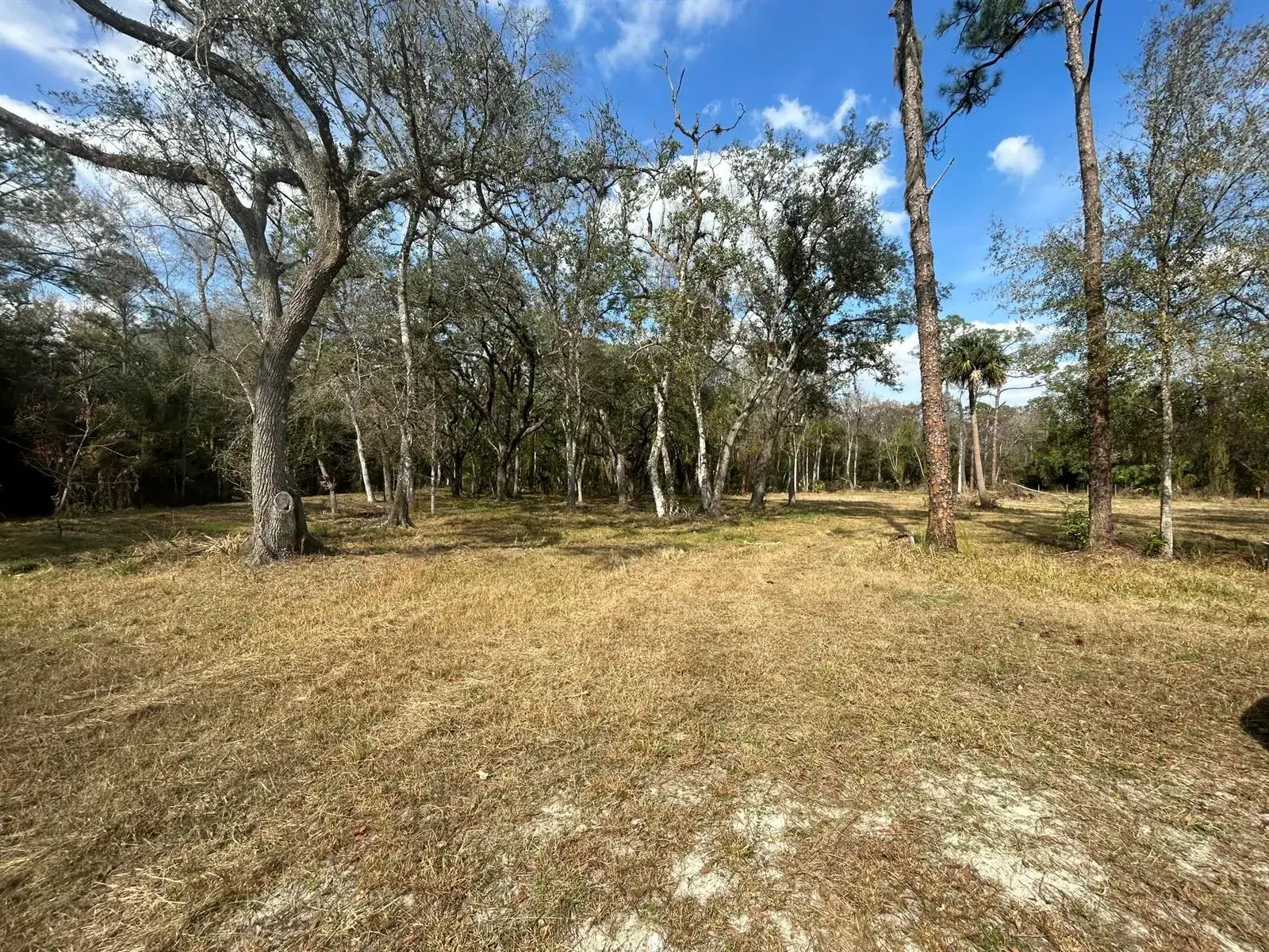 855 NW 368th Drive, Okeechobee FL 34972 photo 3