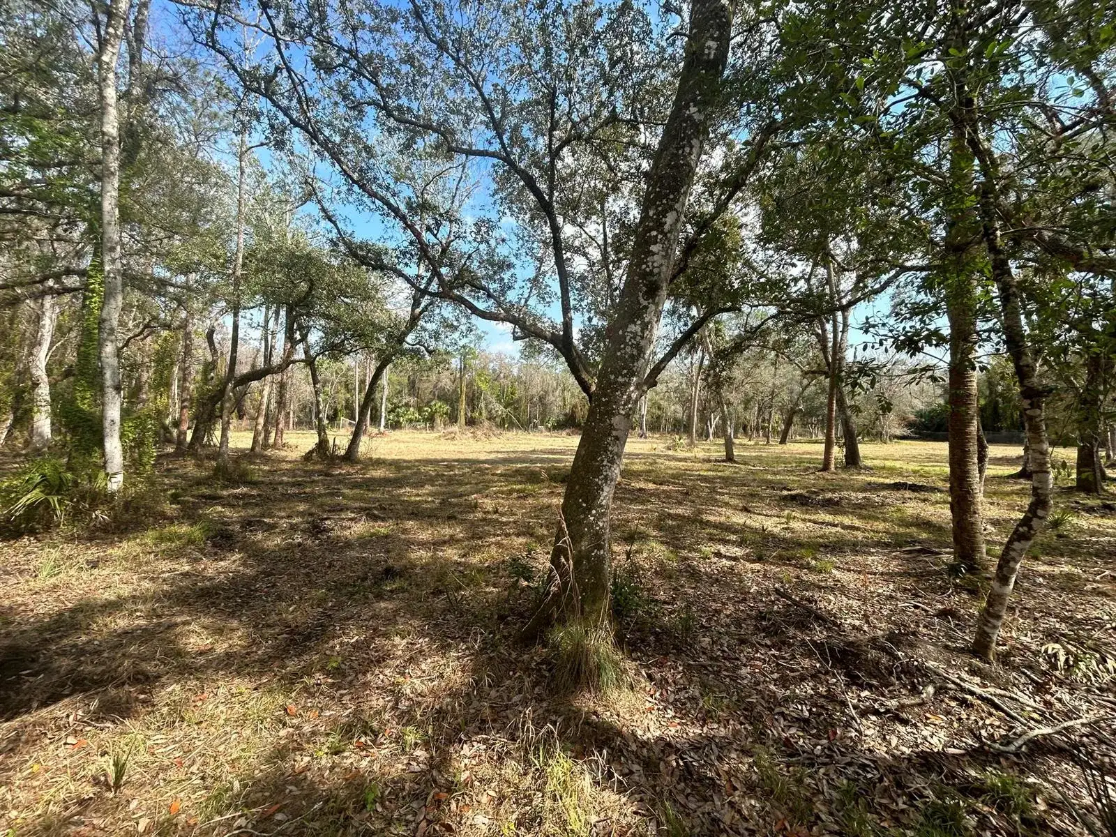 855 NW 368th Drive, Okeechobee FL 34972 photo 4