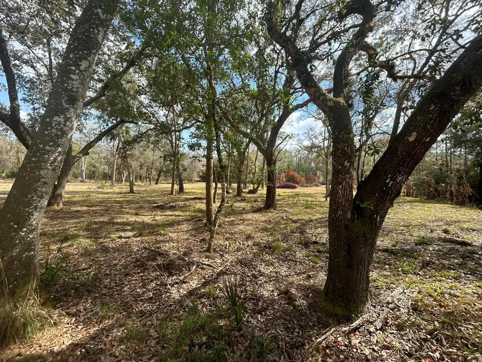 855 NW 368th Drive, Okeechobee FL 34972 photo 5