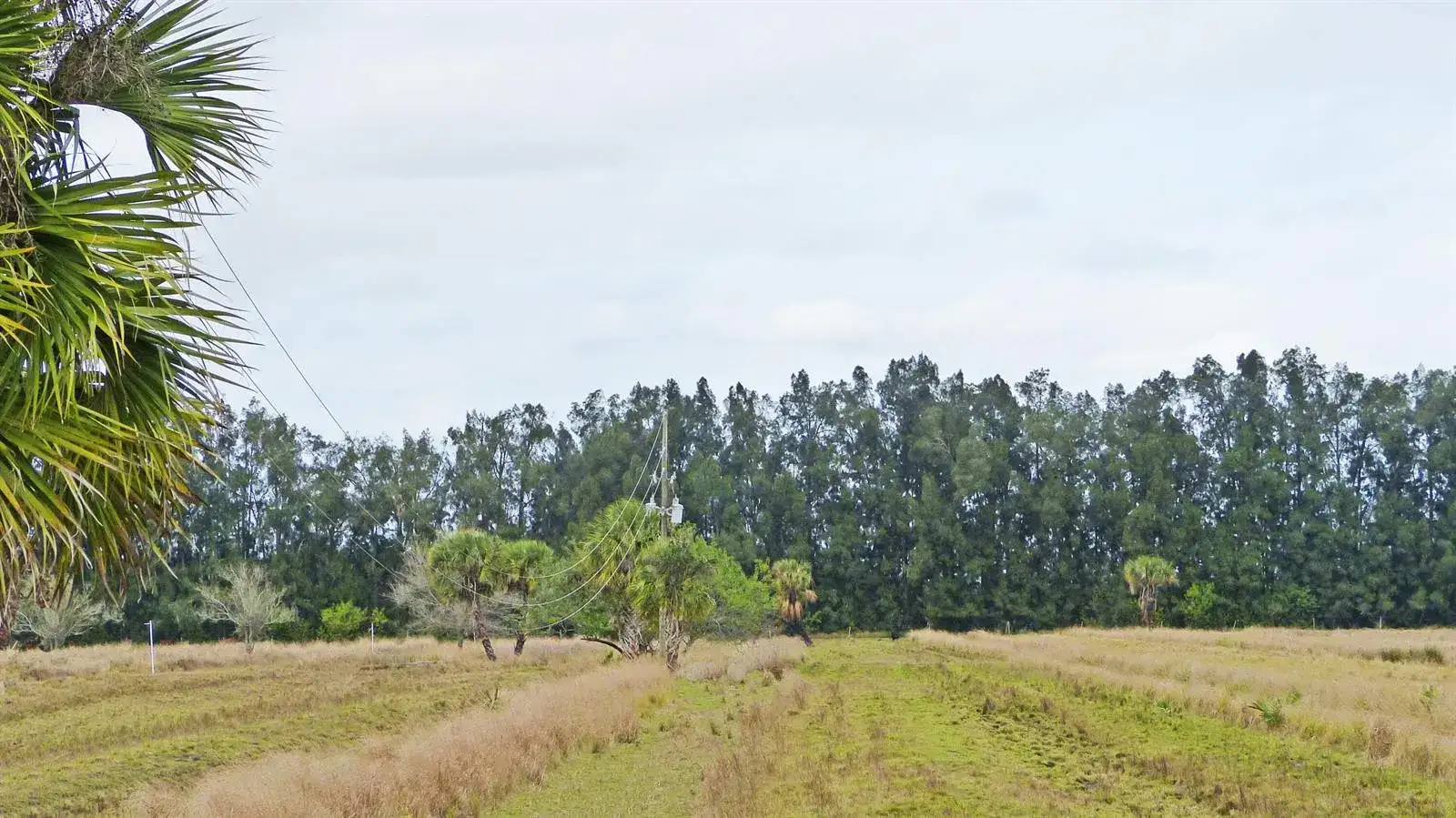 Tbd Kelly Road, Fort Pierce FL 34945 photo 3