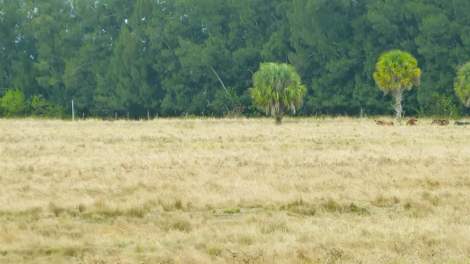 Tbd Kelly Road, Fort Pierce FL 34945 photo 4