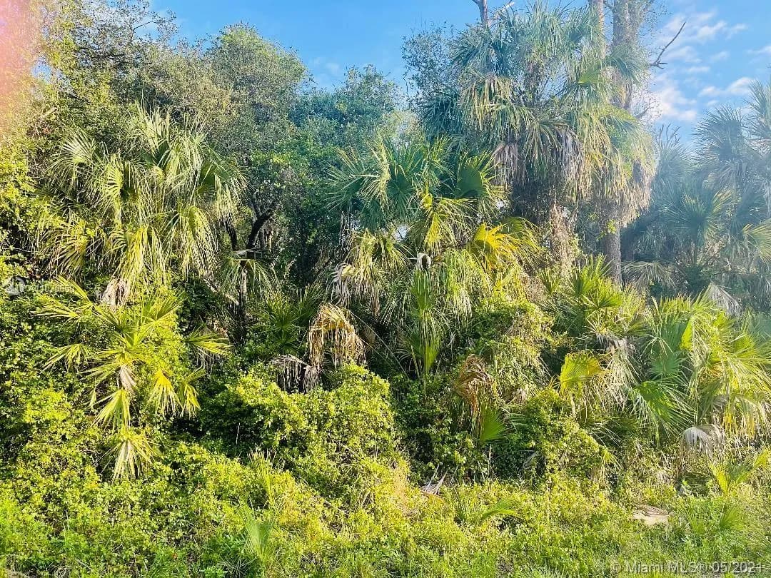 232 Sparkle Dr, La Belle FL 33935