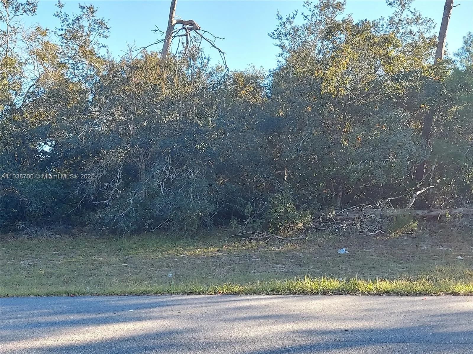 43 Ct & 44th Cir SE Marion Oaks Golf Way, Ocala FL 34473