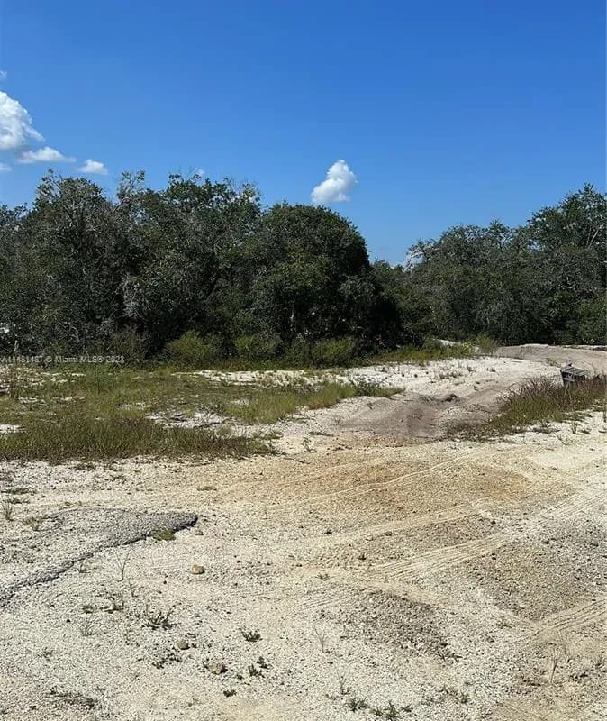 412 ELEANOR BLVD, Lake Placid FL 33852