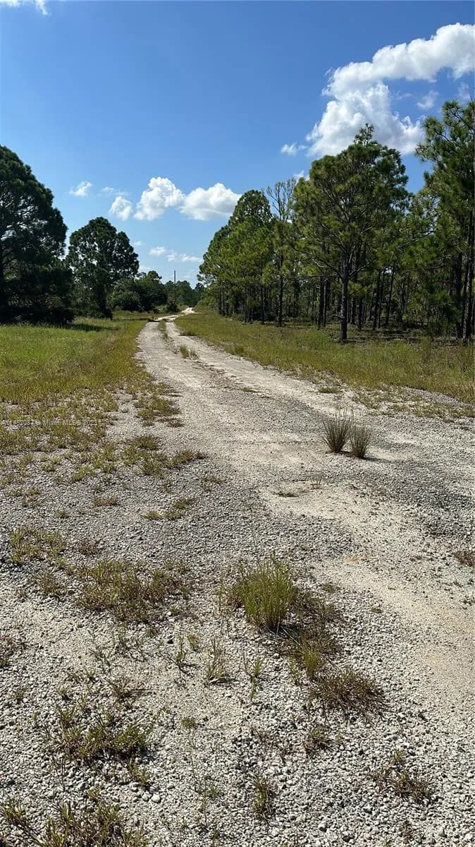 341 Moon River Ave, Lake Placid FL 33852