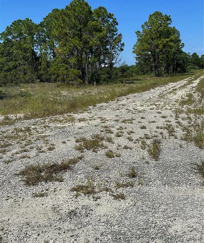 341 Moon River Ave, Lake Placid FL 33852