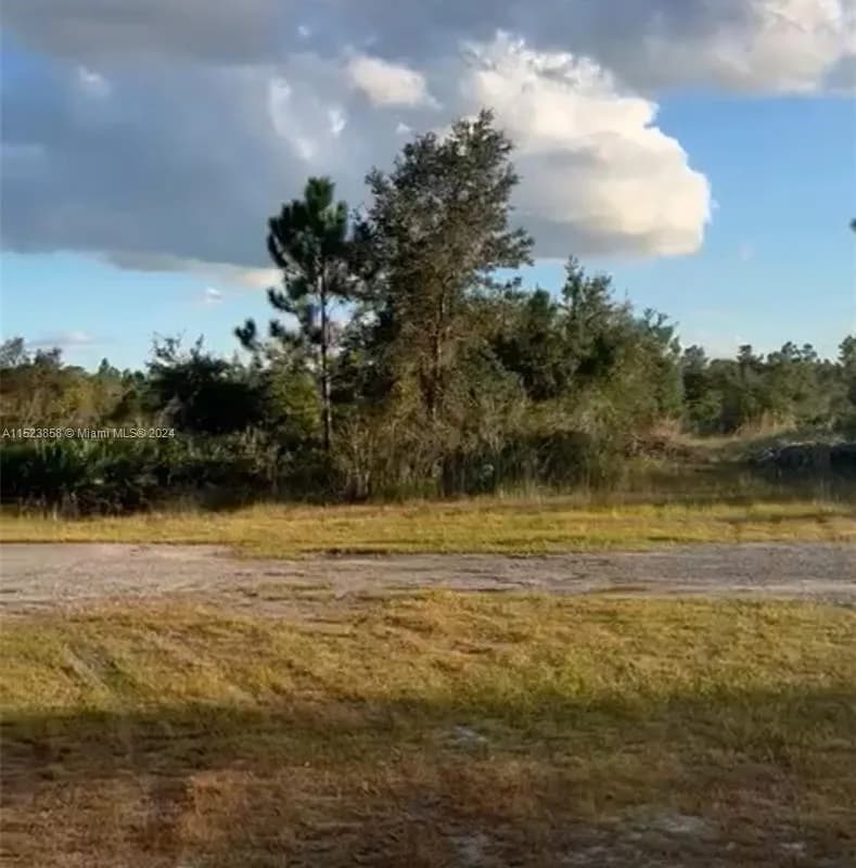 423 gaillardia, Lake Wales FL 33855