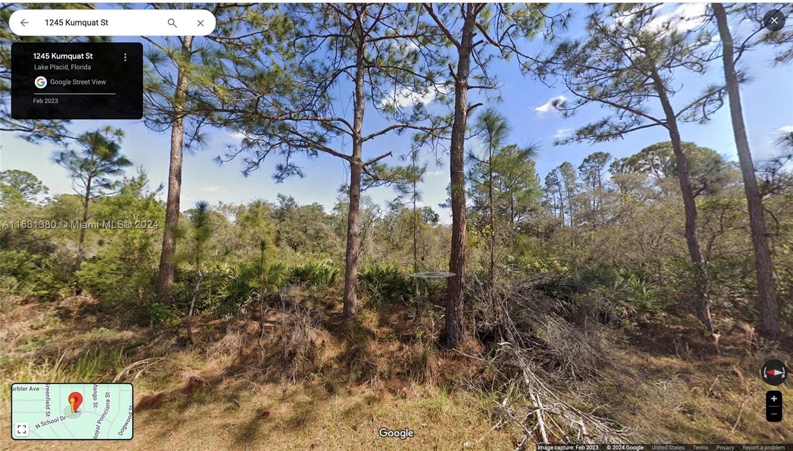 1245 KUMQUAT ST, Lake Placid FL 33852